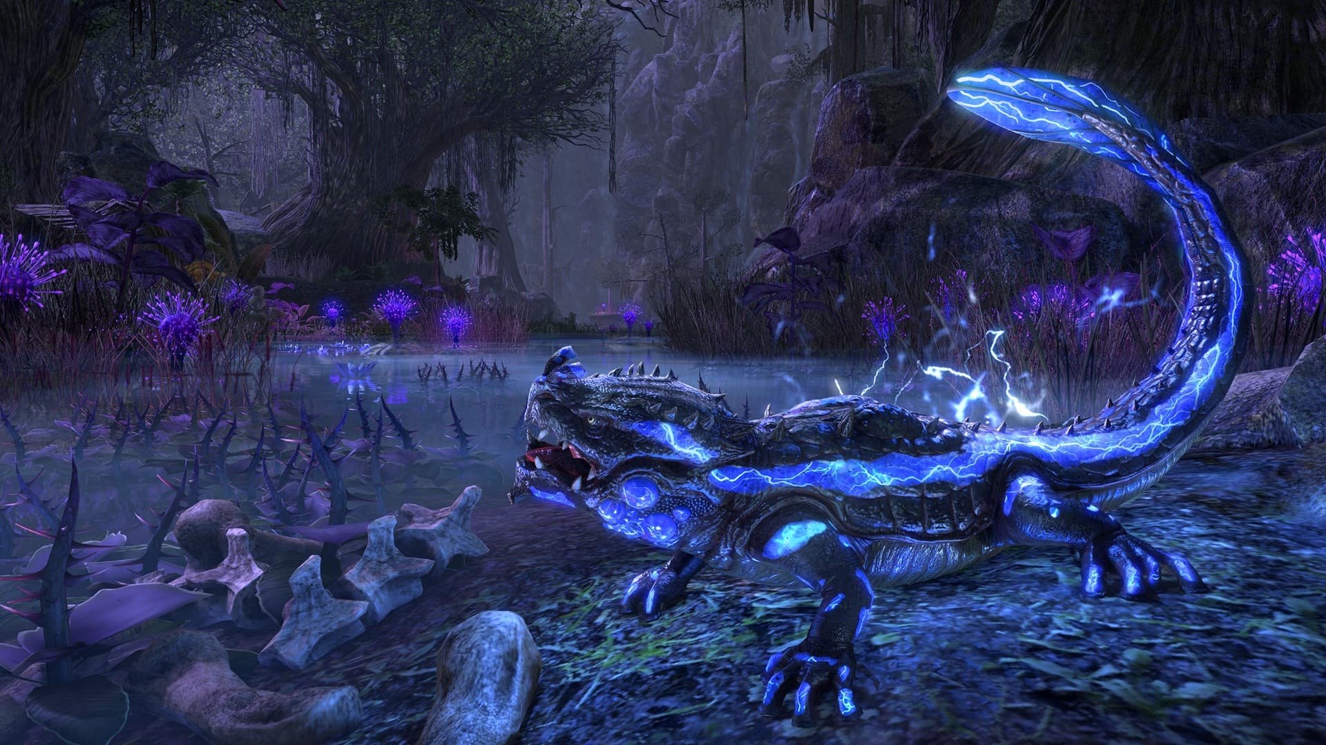 The Elder Scrolls Online: Newcomer Pack screenshot 1