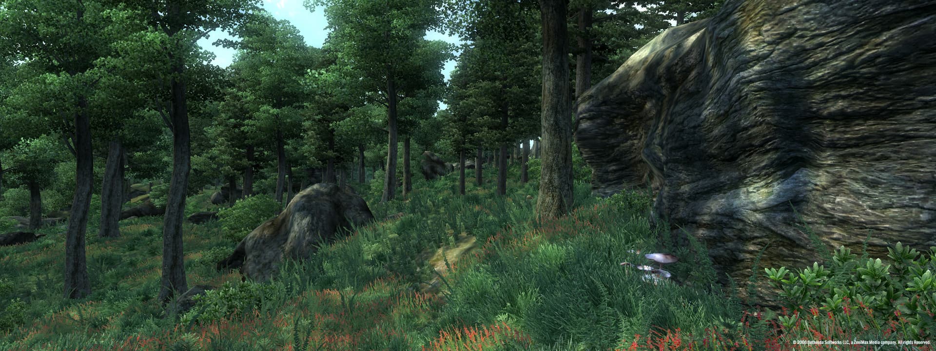 The Elder Scrolls IV: Oblivion Game of the Year Edition screenshot 2