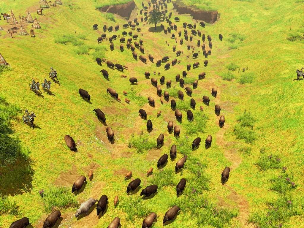 Age of Empires III screenshot 4