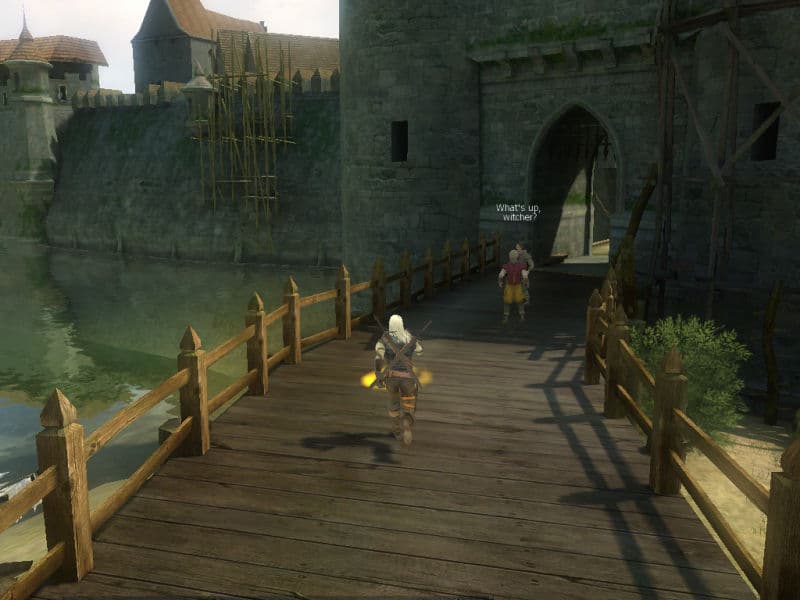 The Witcher screenshot 1