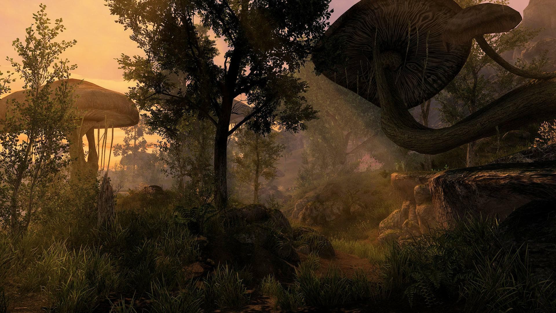 The Elder Scrolls Renewal: Skywind (TES Renewal) screenshot 4