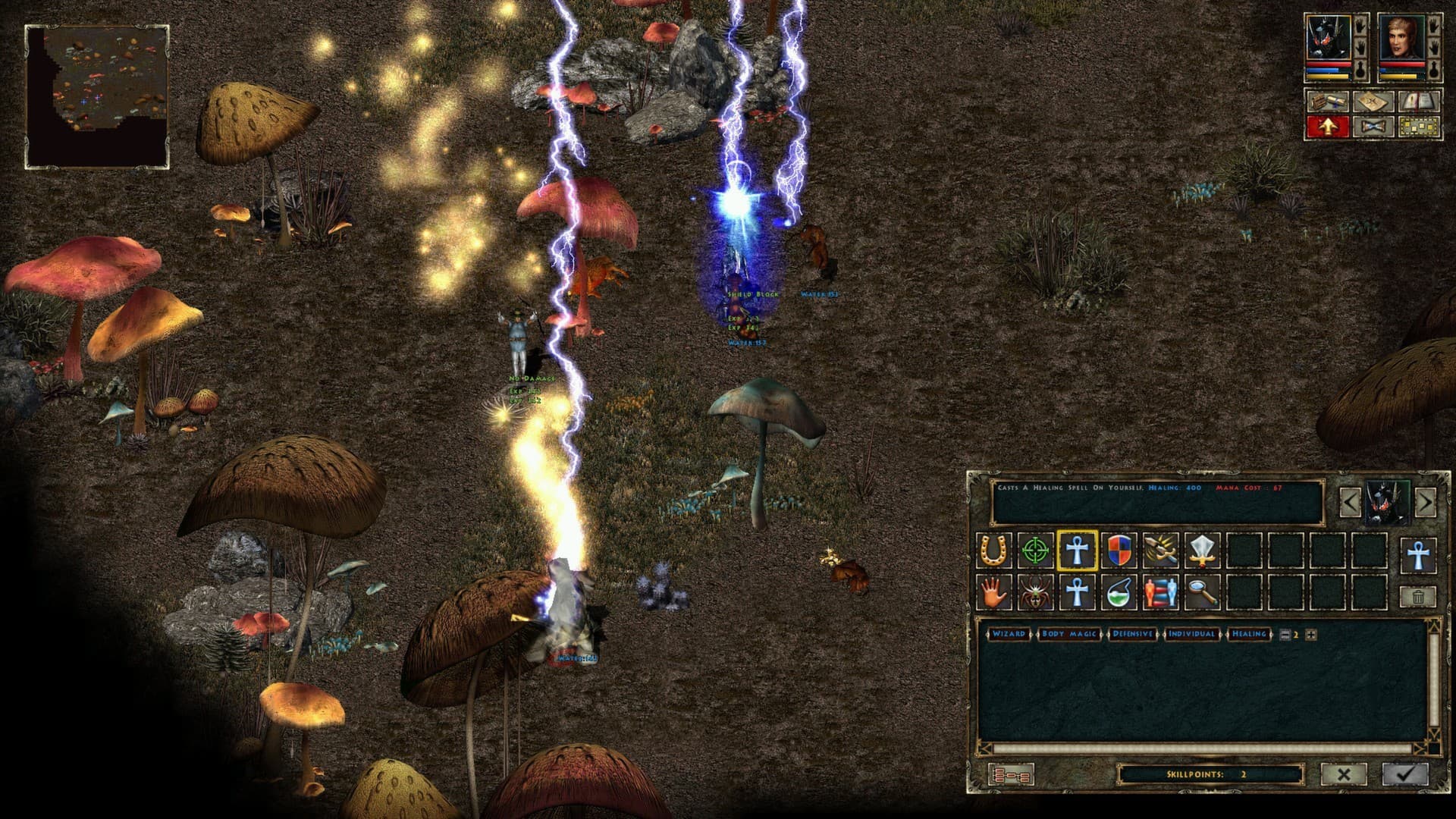 Beyond Divinity screenshot 3