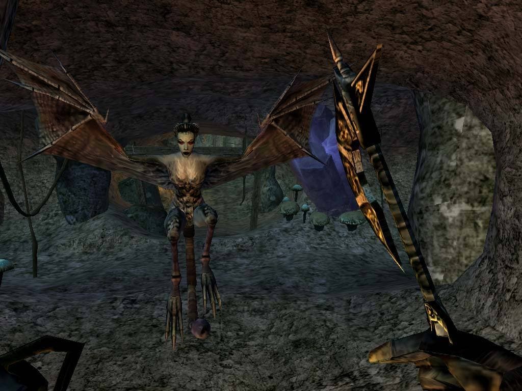 The Elder Scrolls III: Morrowind screenshot 6
