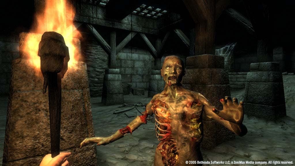The Elder Scrolls IV: Oblivion Game of the Year Edition screenshot 6