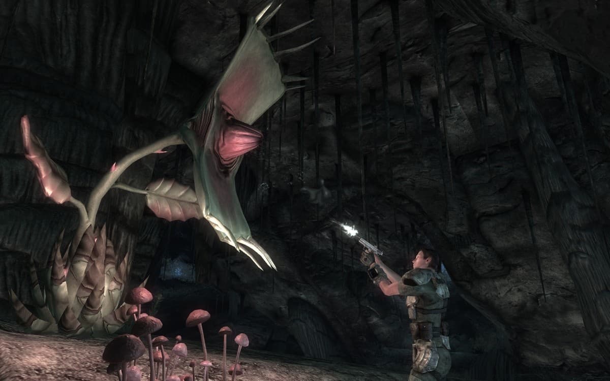 Fallout: New Vegas - Honest Hearts screenshot 5