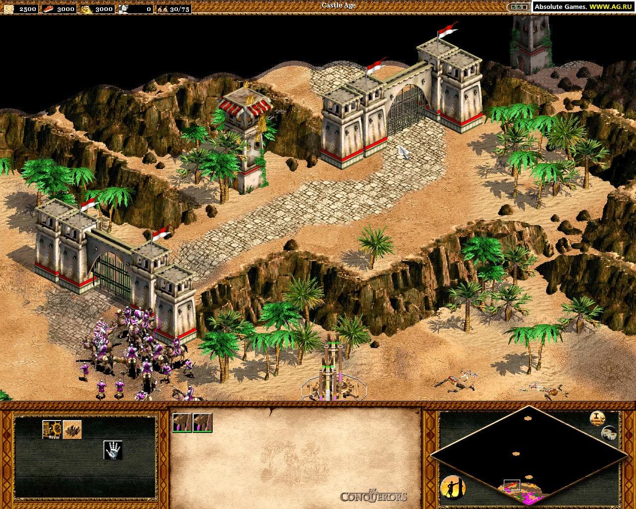 Age of Empires II: The Conquerors screenshot 2
