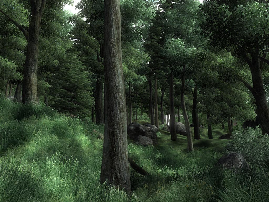 The Elder Scrolls IV: Oblivion screenshot 3