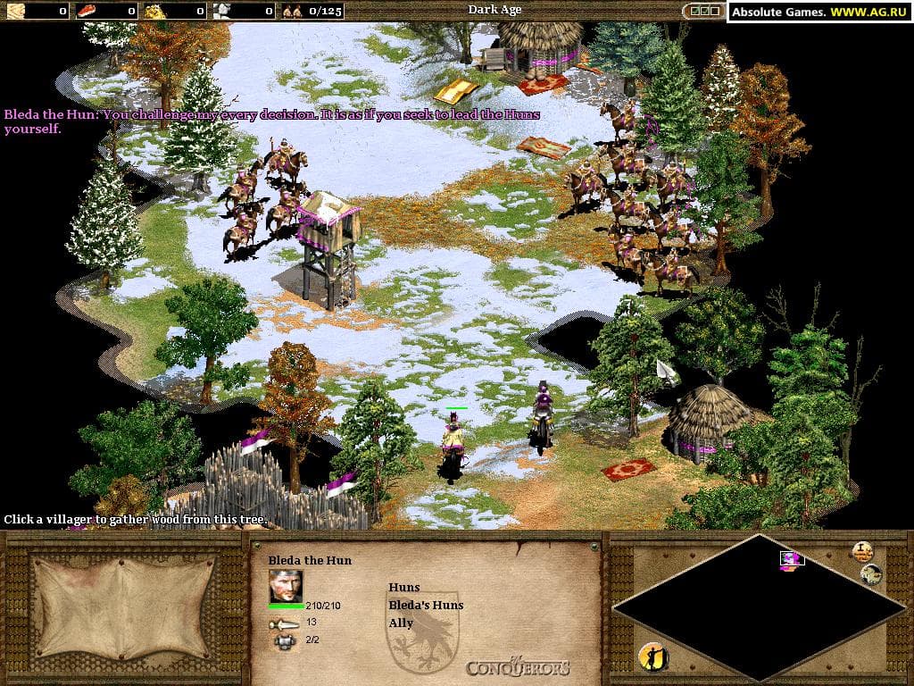 Age of Empires II: The Conquerors screenshot 4