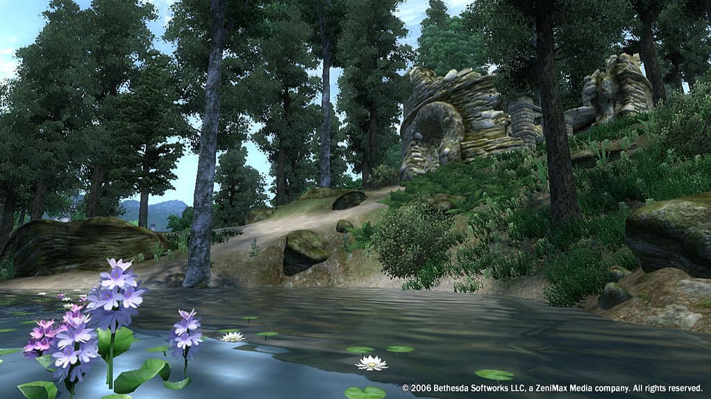 The Elder Scrolls IV: Oblivion Game of the Year Edition screenshot 3