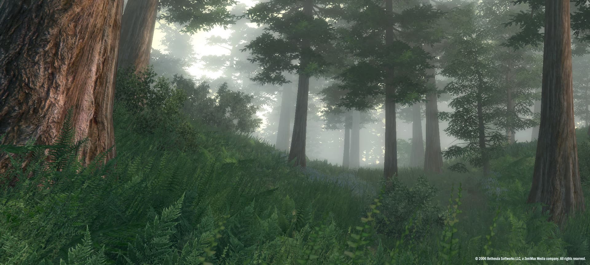 The Elder Scrolls IV: Oblivion Game of the Year Edition screenshot 1