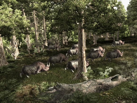 Gothic 3 screenshot 3