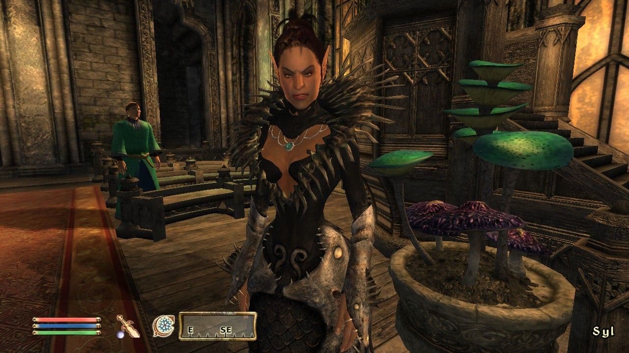The Elder Scrolls 4: Shivering Isles screenshot 6