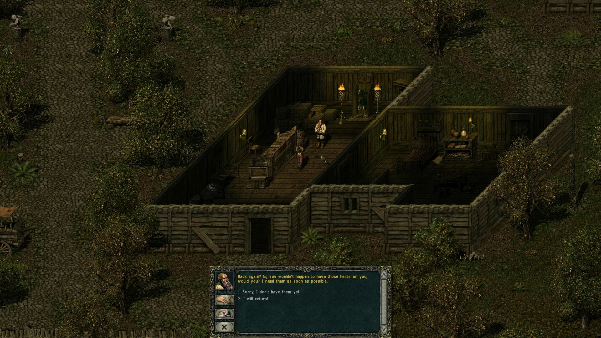 Divine Divinity screenshot 4